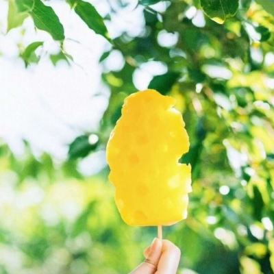 bob·体育综合appapp下载