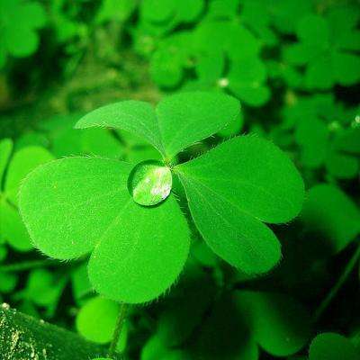 bob·体育综合appapp下载